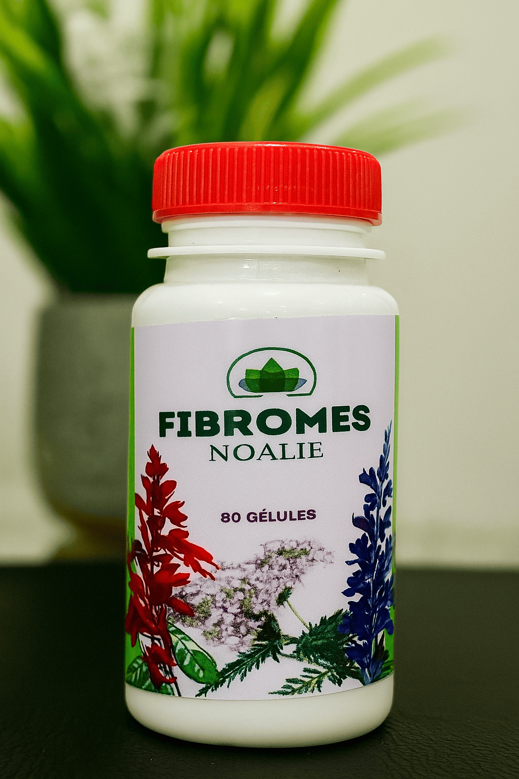 Fibromes